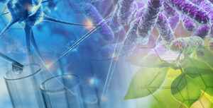 生物设计研究所在研究工作中宣布了新的中心–最先进的X射线实验室