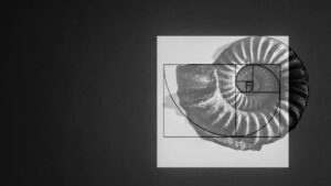 将数学的抽象之美转化为解决实际问题的力量｜专访ASU计算机科学与技术硕士朱锦辉